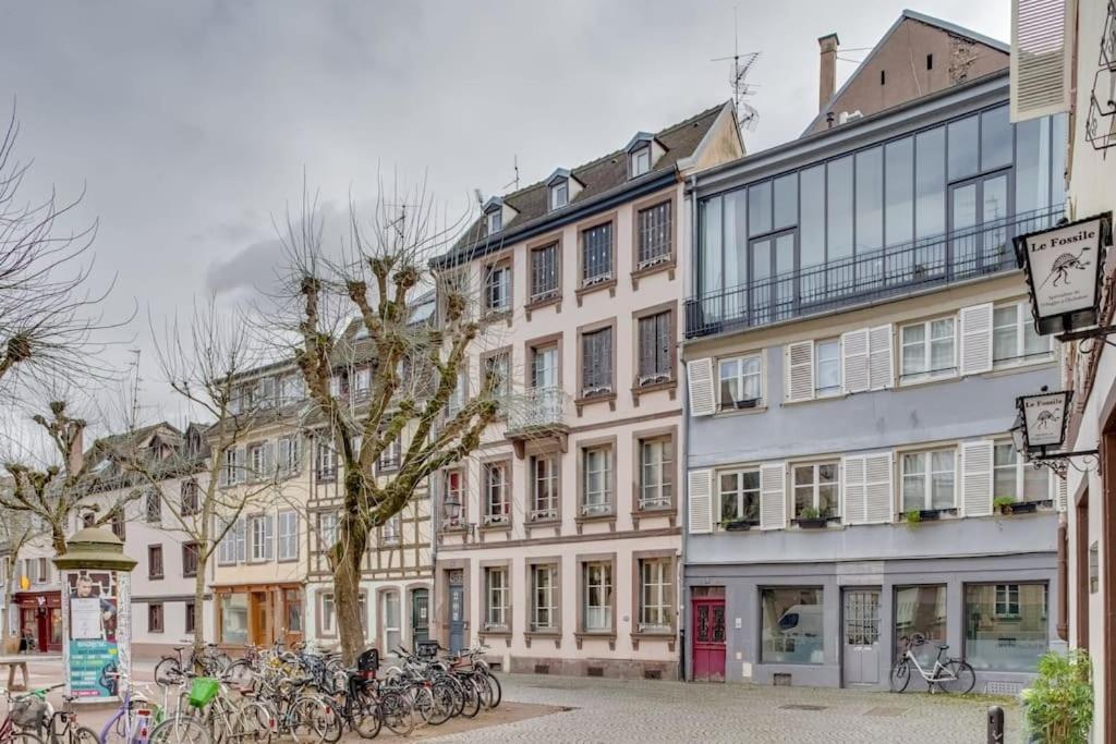 Le Loft Des Lumieres - Superbe Loft Lumineux Au Coeur De La Krutenau Lejlighed Strasbourg Eksteriør billede